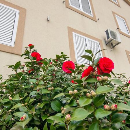 Apartments Savic Herceg Novi Eksteriør bilde