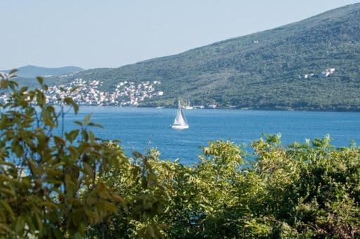 Apartments Savic Herceg Novi Eksteriør bilde