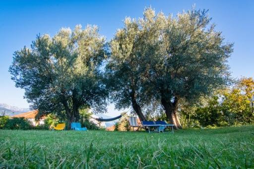 Apartments Savic Herceg Novi Eksteriør bilde